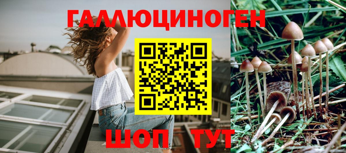 Галлюциногенные грибы мицелий  Вход с VPN  Тимашёвск 